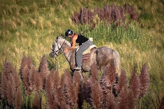 Horseback rider at the Estancia Los Potreros