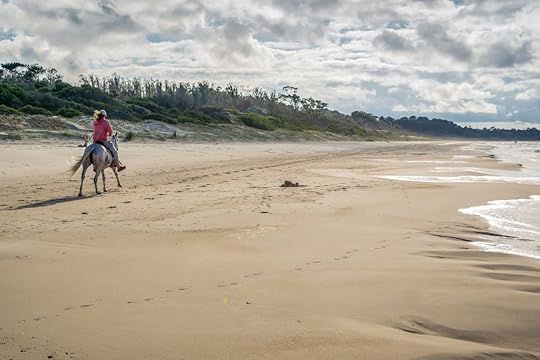 A man in a morning horse riding along the beach