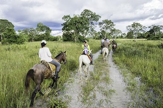 Tourists ride horses in the Pantanal, Brazil