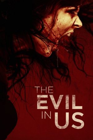 Póster de la Película 