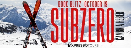 SubzeroBlitzBanner-1