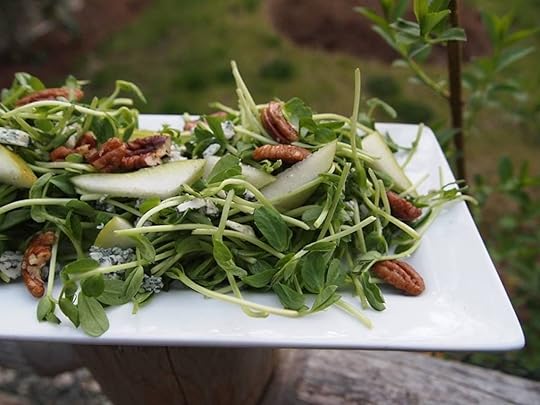 Salad from Cafe Wylde in Washington state