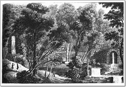  photo Udolpho2_zpse701e3e3.jpg