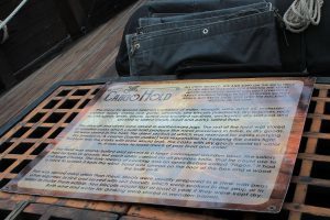 Photo by Christal Hilley