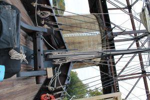 Photo by Christal Hilley