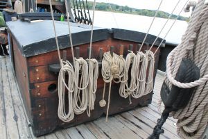 Photo by Christal Hilley