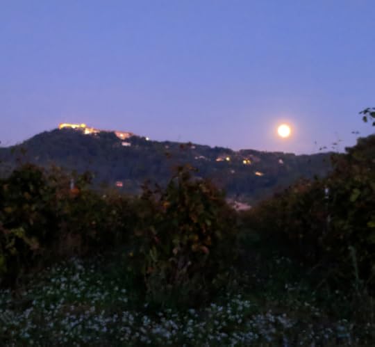 Moonlight over le castellet