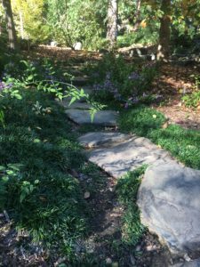 What if I suck at this?