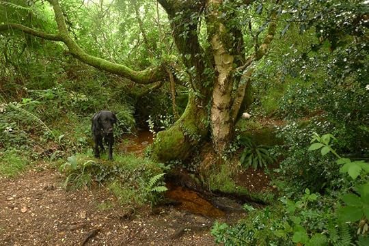 Communing with the Guardian of the Spring