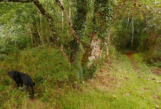 Lingering at the Crossroads