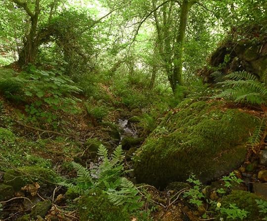 The Enchanted Stream