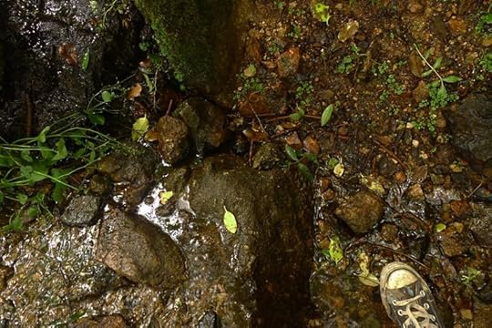 Stepping over the border