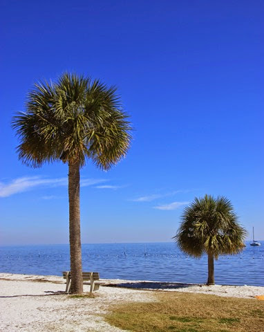 Cedar Key Beach