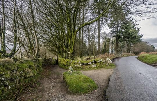 Jay's Grave at the crossroads near Manaton copy