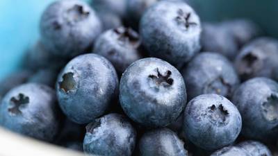 Berries