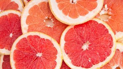 Citrus fruit