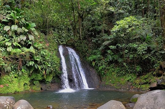 Crayfish Cascade in Guadeloupe