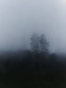fog is both wonder and peril