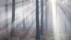 fog is both wonder and peril