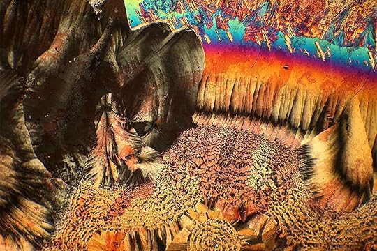 Lead_Waad-AlBawardi,-The-Hidden-Life-of-Crystals,