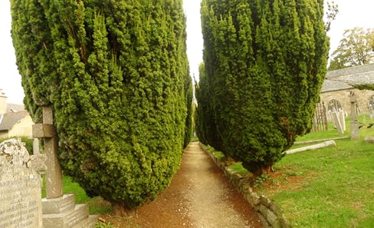 Chagford churchyard 7