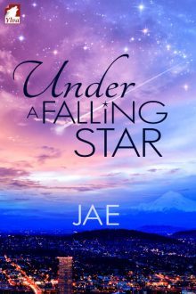 Under a Falling Star_Jae