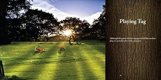 The Fox Diaries
