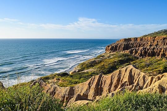 torrey pines coastline in san diego, california