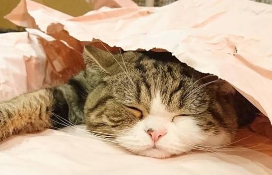 Image result for maru
