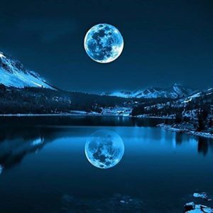 515vSAdX3FL._SS500