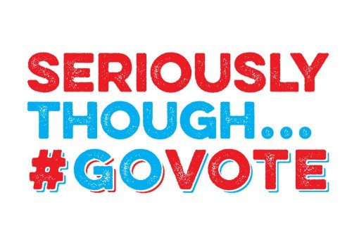 Image result for go vote