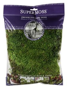 Segreto Finishes Super Moss 