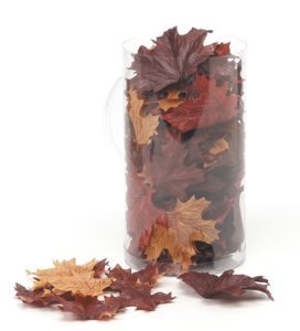 Segreto Finishes Fall Leaves Supplies 