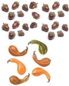 Segreto Finishes Fall Crafts Supplies