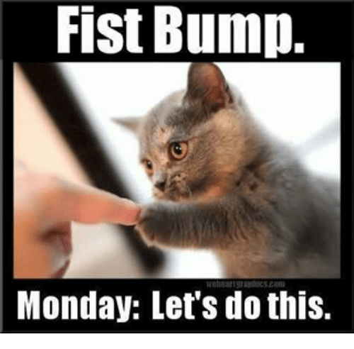 Image result for monday meme