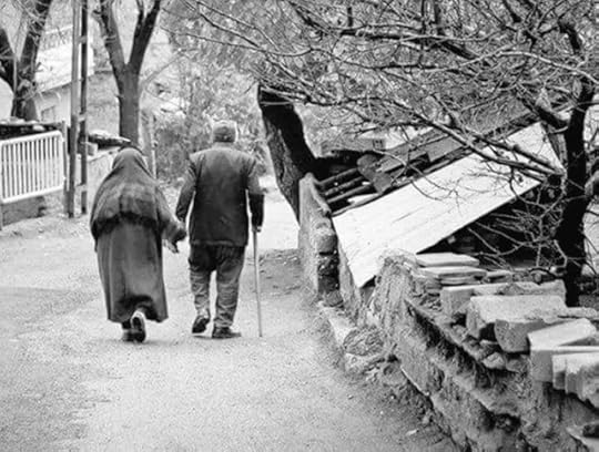 36511439064-a9584a5dc4-b