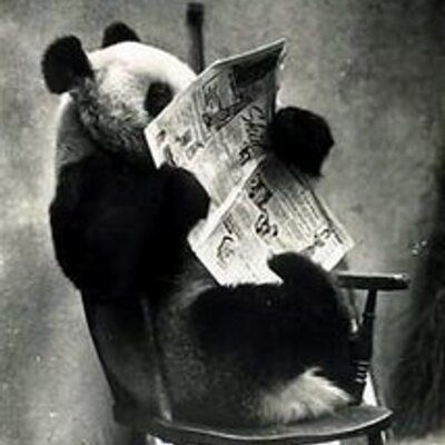 Panda_Reading_Newspaper_400x400
