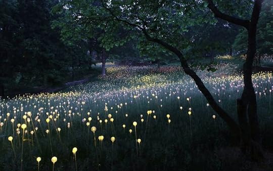 Bruce Munro