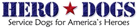 a day to honor veterans