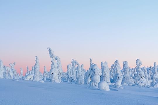Winter landscape at sunrise in Finnish Lapland, Riisitunturi National Park