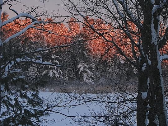Fiery Dawn 2014