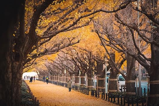 Gingko Alley in Japan