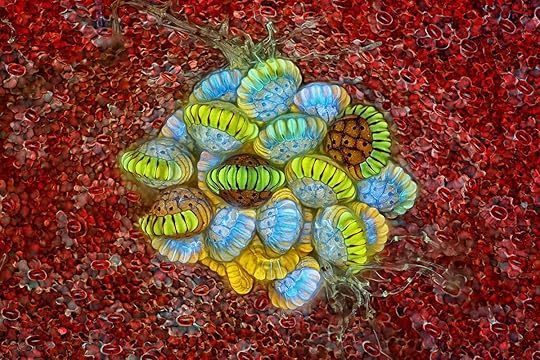 fern sorus — structures that produce and contain spores