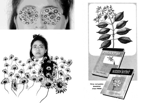 Image result for Winter's Cosmos