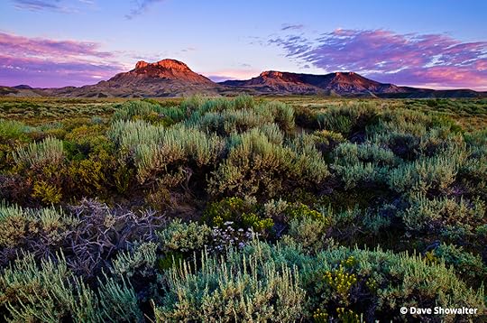 Image result for landscape