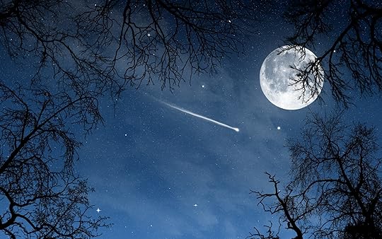 Image result for night