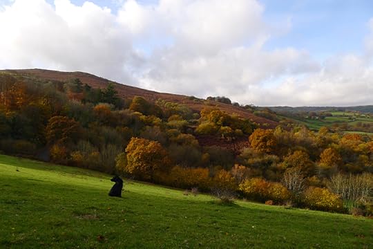 Meldon Hill and the Kestor Valley 4