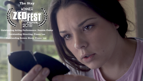 TheStayZEDFESTbanner