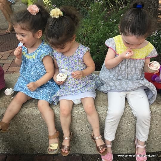 twins and older sister eat ice cream at Lick in the Pearl in San Antonio, Texas