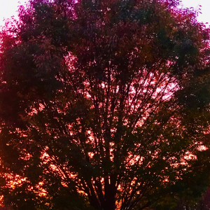 This is How I Successfully Procrastinate by @MConnollyAuthor #Procrastinate 